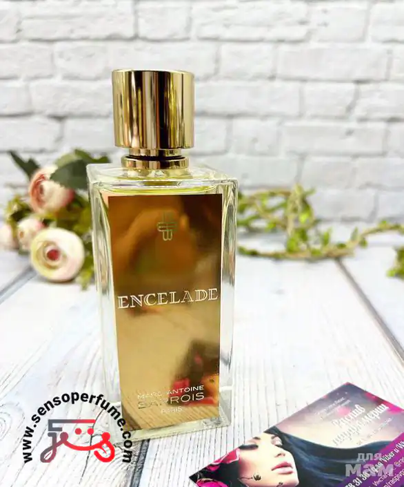 عطر ادکلن مارک آنتونی بارووا گنیمید